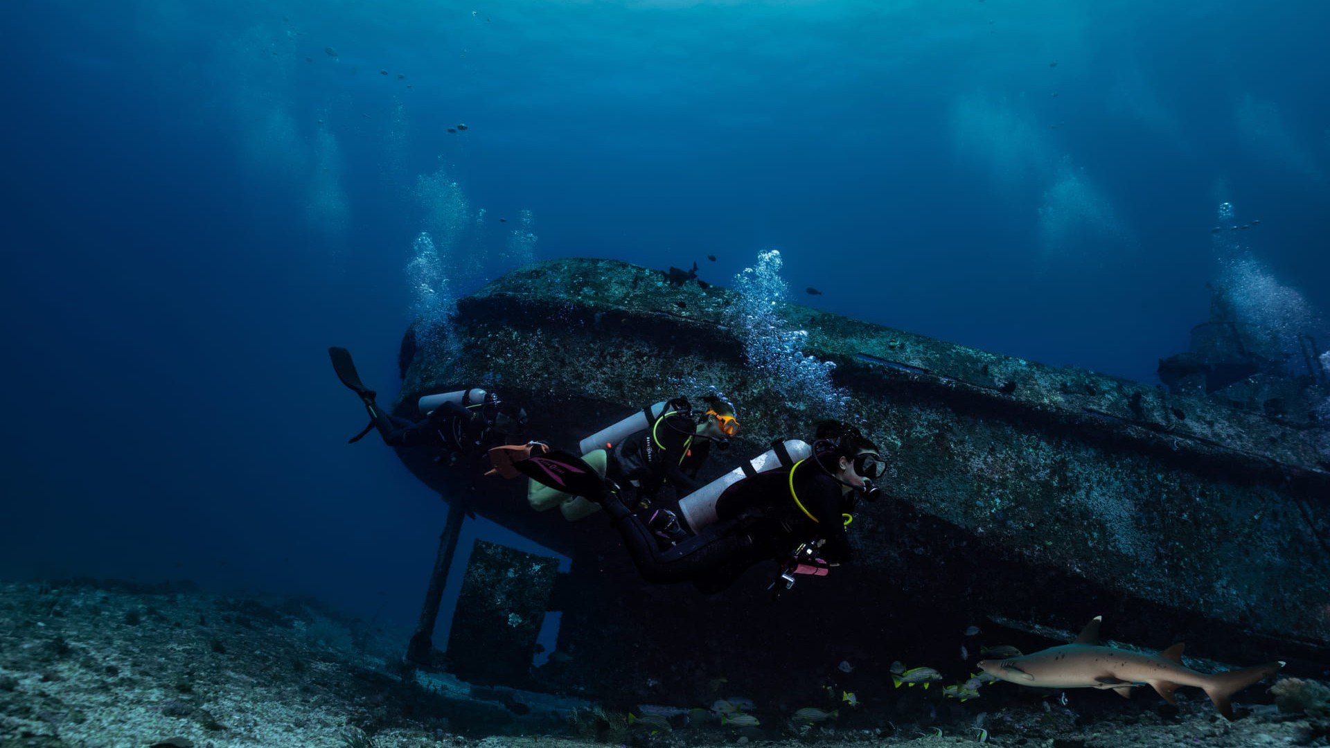 divers wreck and shark gili islands
