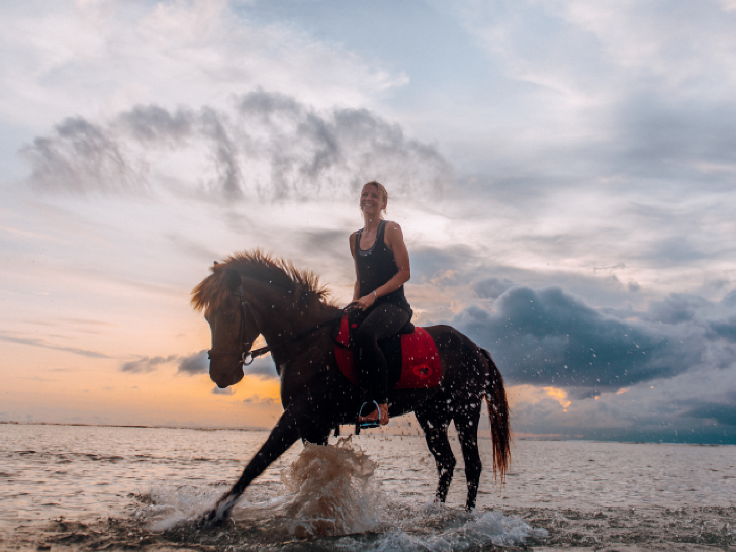 horse riding gili trawangan manta dive