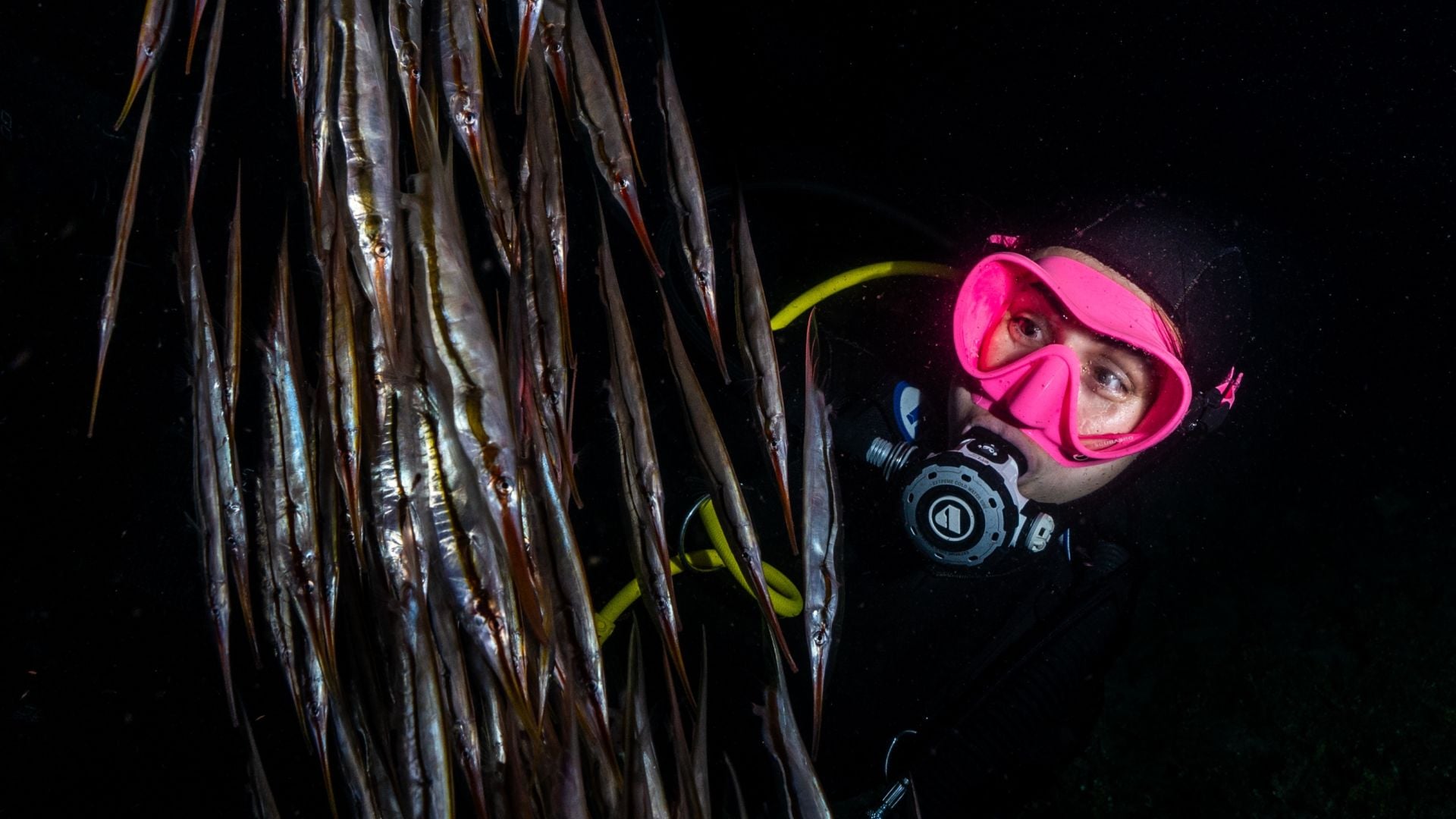 Advanced Night Dive 1