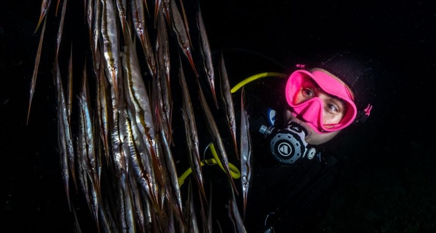 Advanced Night Dive 1