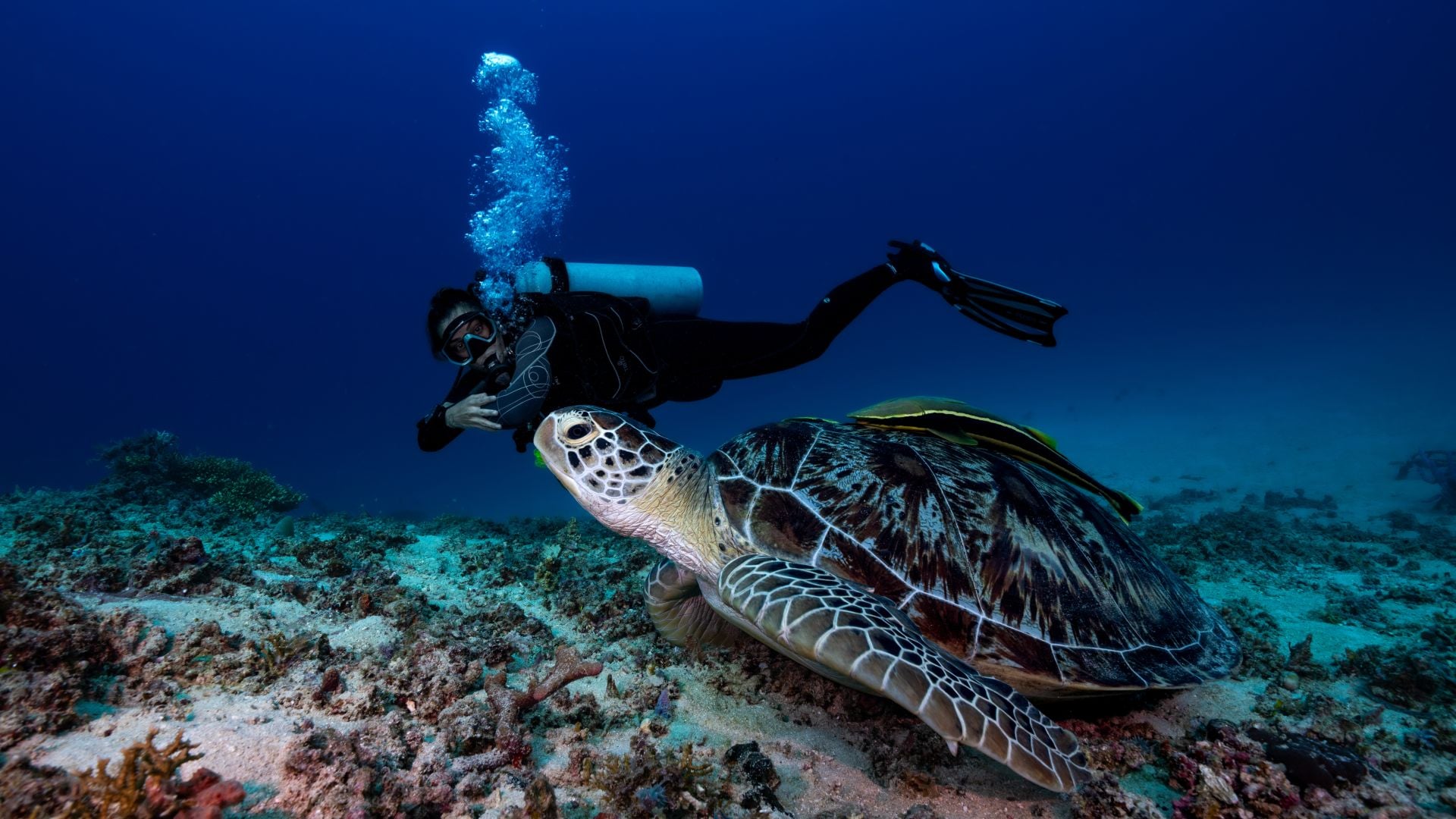 Advanced Open Water Course
