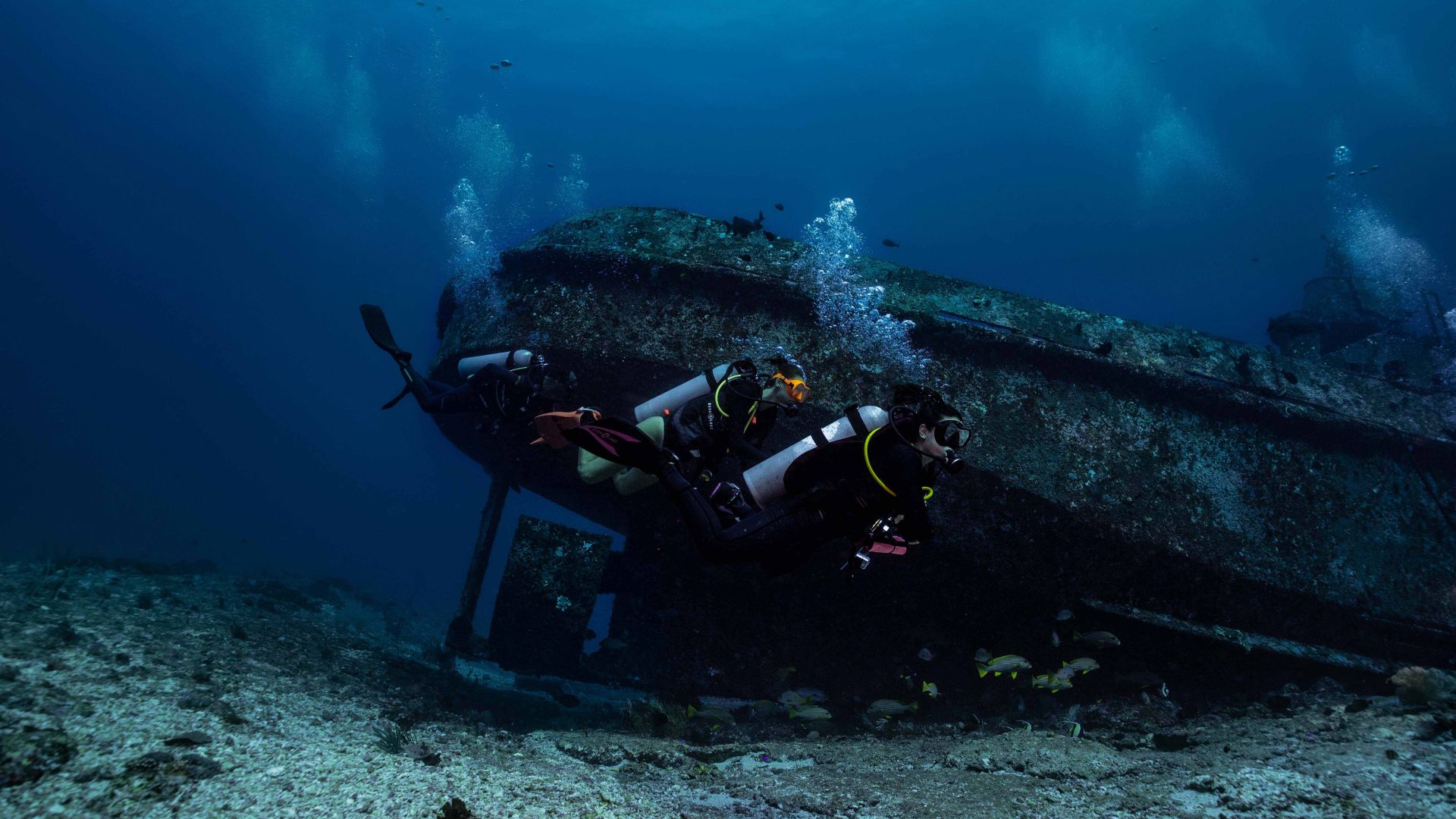 Advanced Wreck Dive