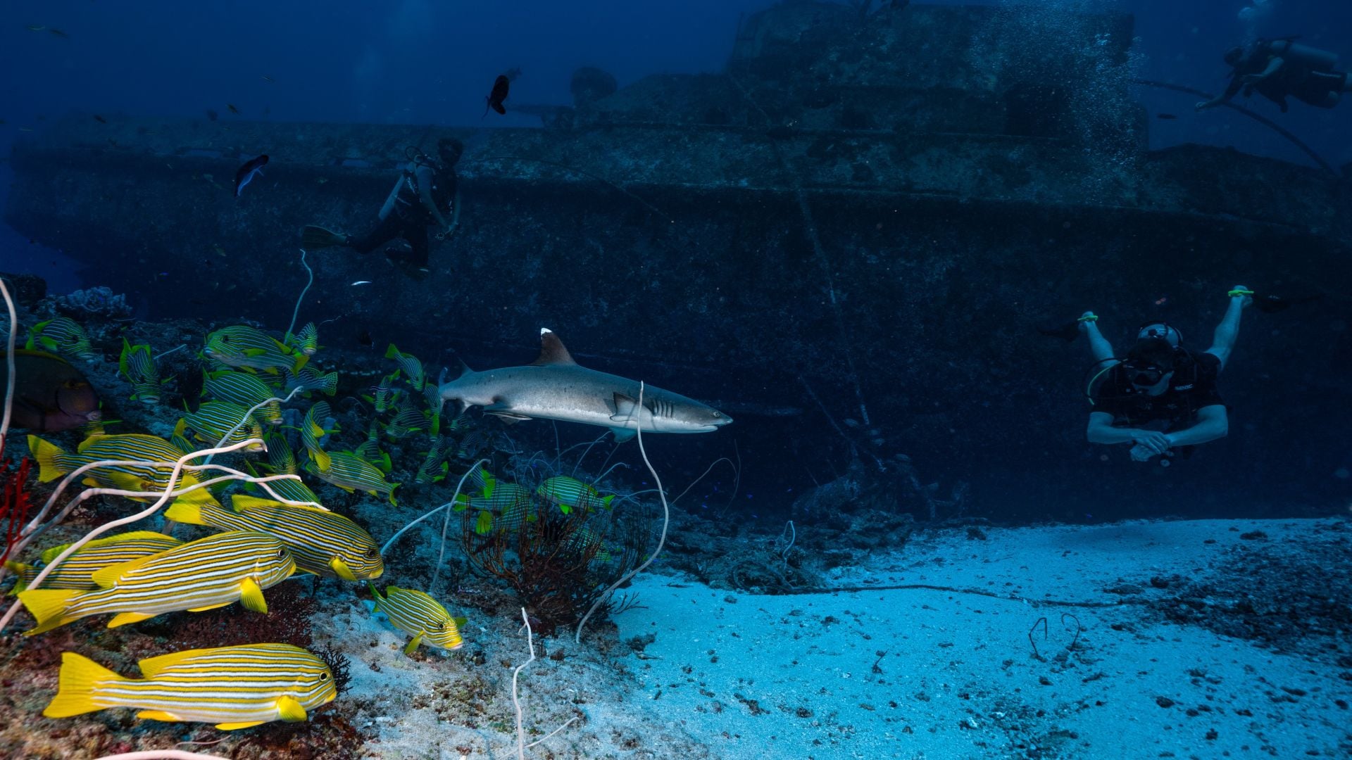 Advanced wreck dive 1