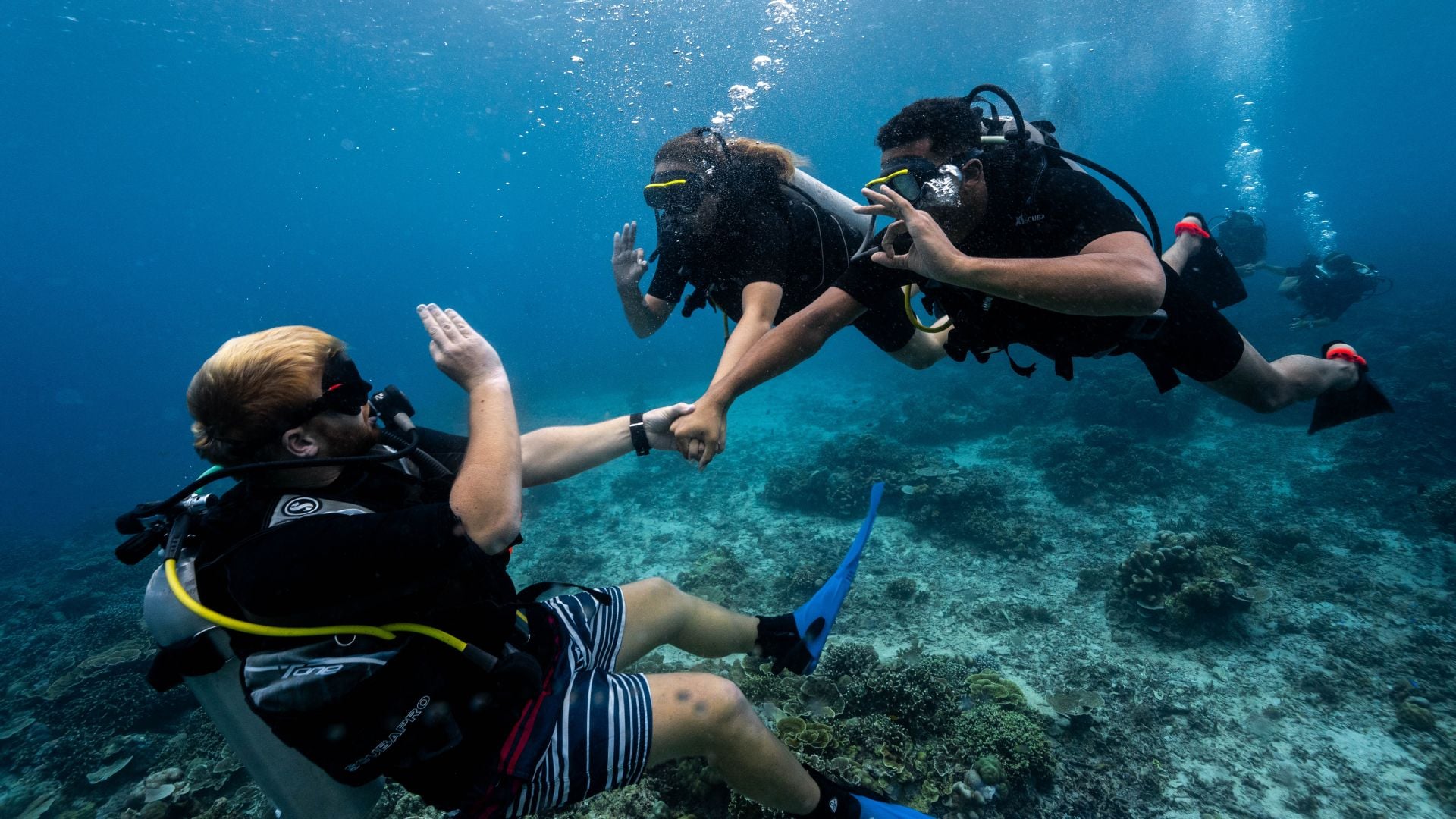 discover scuba dive