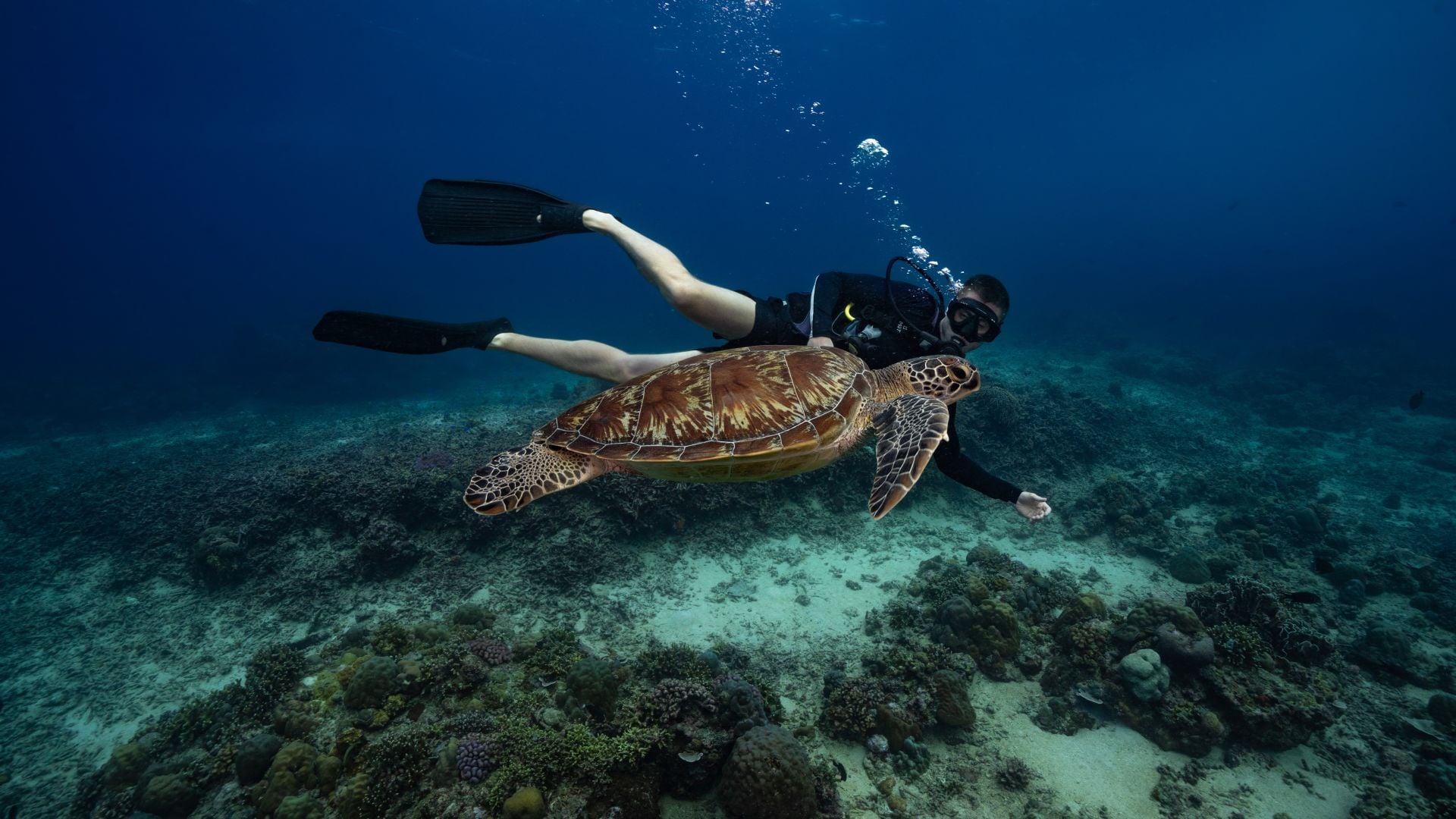 Open Water Course 2 1