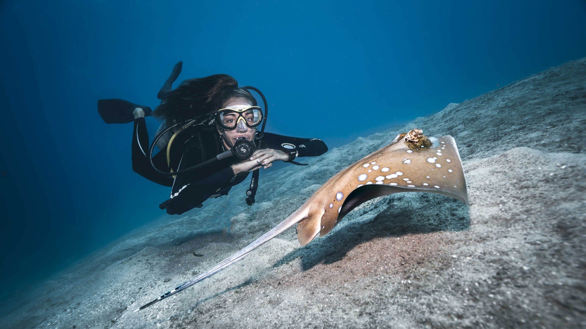 Open Water Diver Manta Dive Gili T