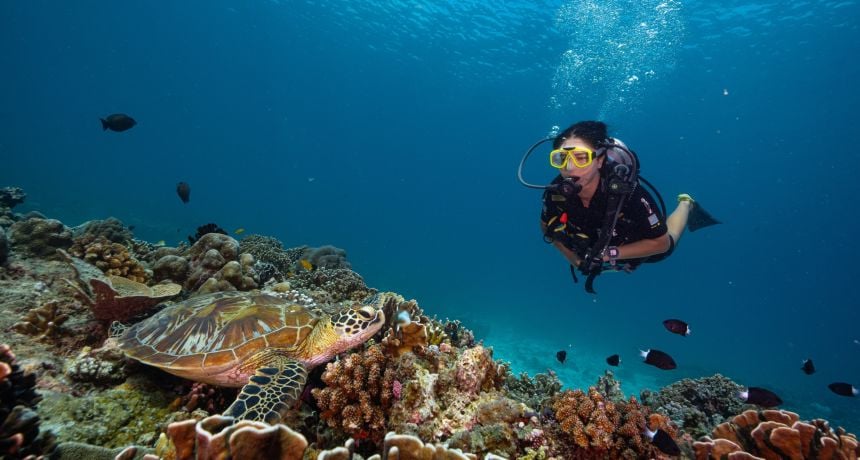 Refresher Dive