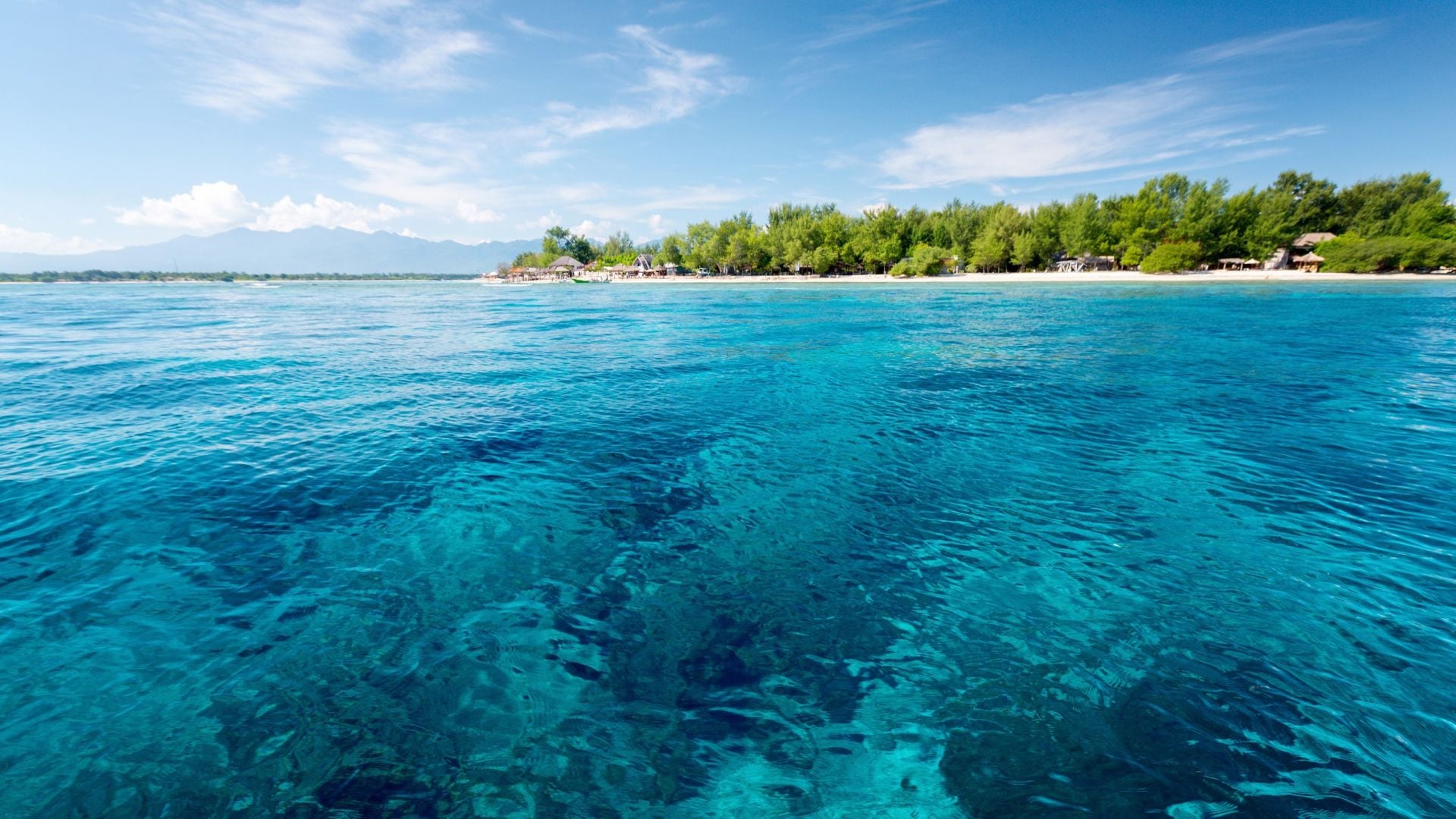 Gili trawangan diving