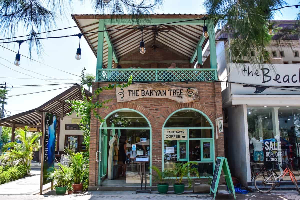 Banyan Tree2