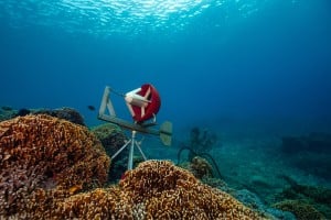 coral garden and research dive gili trawangan