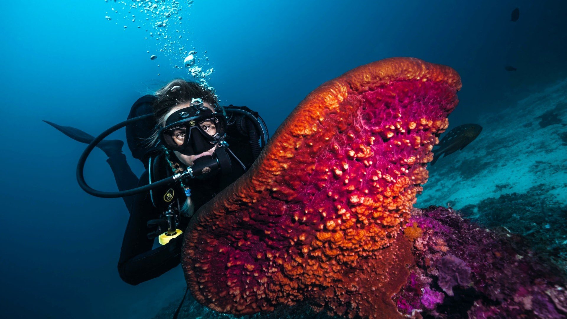 diver and coral diving gili gili trawangan