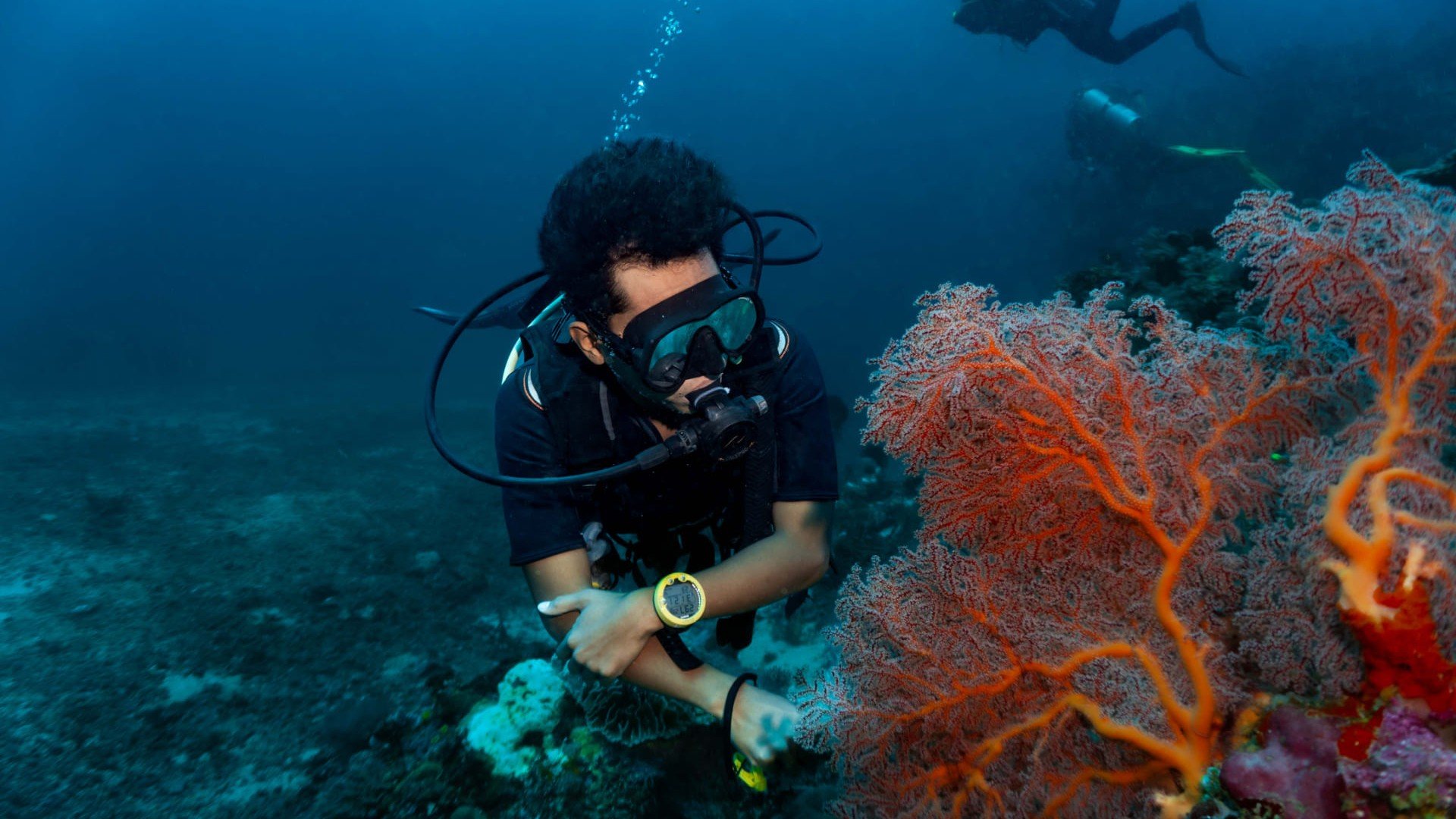 diver and coral - manta dive gili trawangan