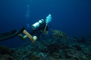 diver and corals gili islands