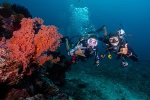 explore the reef gili islands