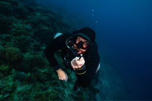 sidemount diver and coral gili islands