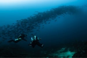 rebreather diving - Manta Dive Tech Gili T