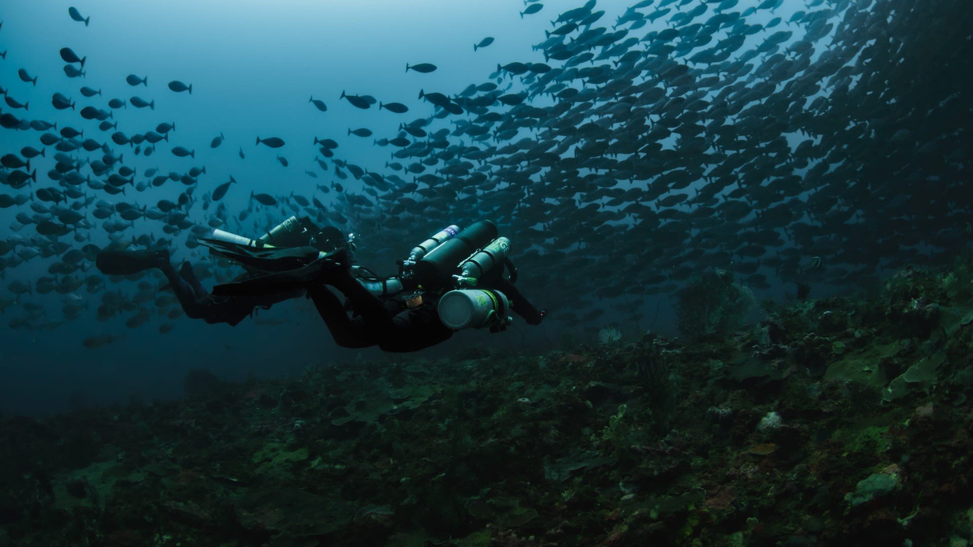 technical diving - Manta Dive Tech Gili T